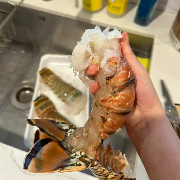 Wild-Caught Brazilian Lobster Tail (250g) | Only 100 Servings Daily | Best Value in SG