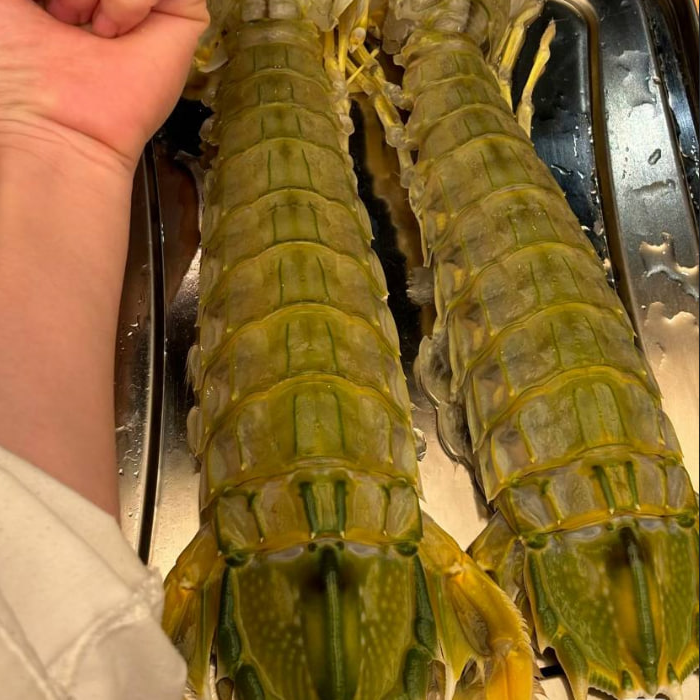 Fresh Mantis Shrimp (Xia Ba / 虾婆) – Wild Caught, Large Size 皮皮虾